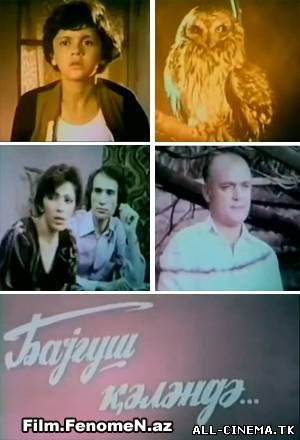 смотреть онлайн бесплатно в хорошем качестве Bayquş gələndə