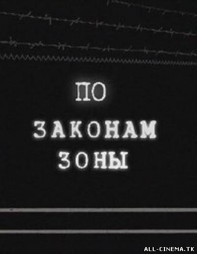 смотреть онлайн бесплатно в хорошем качестве По законам зоны (2010) - Смотреть онлайн